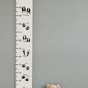 Growth chart for kids with animal track illustrations and a teddy bear at the bottom.